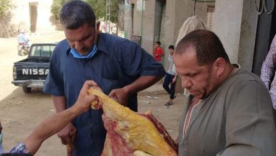 صورة حماية المستهلك :ضبط ٢٠ ألف كمامة وقفاز مجهولة المصدر