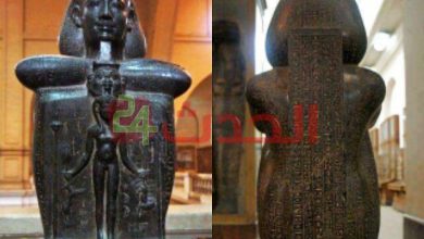 صورة ديدى وجاجا وحور .. سحرة مصر القديمة يجتمعون في المتحف المصري بالتحرير