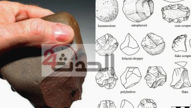صورة أكثر من 2 مليون سنة..فريق علمي يحقق نتائج غير مسبوقة عن أقدم نشاط بشرى على أرض مصر
