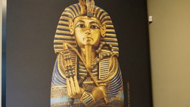 صورة علماء آثار: الملك توت عنخ آمون مصري إبن مصري وإسألوا التاريخ