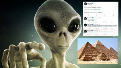 صورة الأهرامات والفضائيون..حكاية تدوينة ملياردير عن الحضارة المصرية أثارت إهتمام العالم