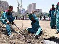 صورة ننشر  التفاصيل الكاملة لأقوى ضغط من رئيس البرلمان على الحكومة  لتعيين عمال التشجير .. عبدالعال مرتبهم هزيل ..ووزير المالية يعلق