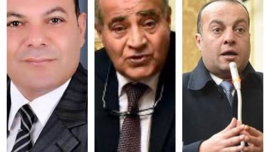 صورة عاجل ..الدفع ب   لاشين وطارق المصيلحي وخالد عبدالمولى  بقائمة شرق الدلتا