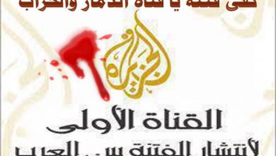 صورة برلماني  : العالم كشف إعلام  “الجزيرة” والعار المضلل عن الاحداث فى مصر