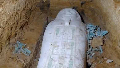 صورة العثور على تابوت حجري وتماثيل من الاوشابتي بمنطقة آثار الغريفة بالمنيا