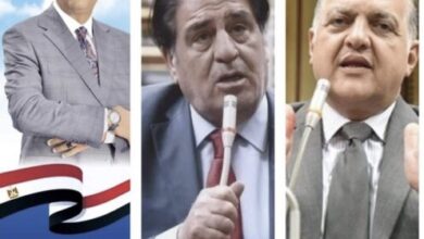 صورة نواب الضربة القاضية يستعدون للتويج الكبير .. فؤاد اباظة الاقرب في ابو حماد والسويدي ديرب .. ومشهور منيا القمح