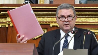 صورة شردت العمال في حلوان والتبين وطلخا والمحلة ..البرلمان يهاجم وزير قطاع الاعمال العام  بسبب تصفية الحديد والصلب