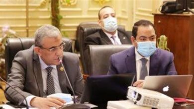 صورة كواليس ..التمويل جاهز .. وزير المالية يزف من البرلمان بشري سارة للعمالة المؤقتة بوزارتي الزراعة والتنمية المحلية