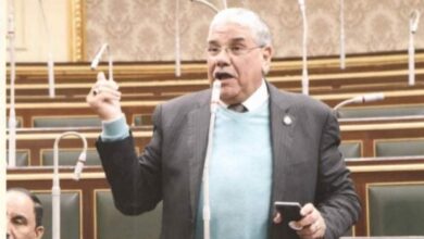 صورة النائب محمود الصعيدى: تطوير القطاع الصحى خطوة على الطريق الصحيح نحو الاهتمام بصحة المواطن