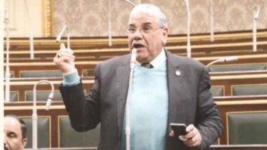 صورة محمود الصعيدى: بيان منظمة حقوق الإنسان بالامم المتحدة يدعو إلى زعزعة الامن والاستقرار فى مصر