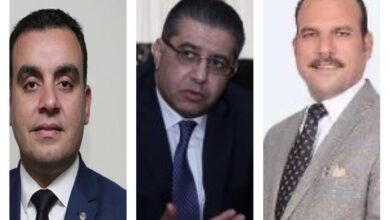 صورة جزر ومحمد سليم والسباعي .. نواب الشرقية بمجلس الشيوخ يزينون مكاتب اللجان النوعية