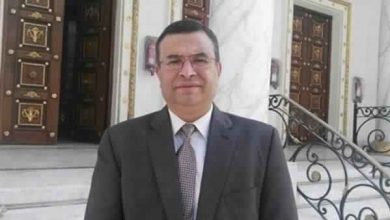 صورة “الجندى” : الابراج الأيقونيه بكفرالشيخ ملحمه تضاف لانجازات “السيسى “