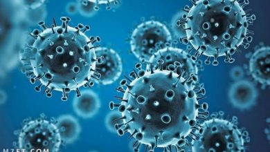 صورة مستشار بالبحث العلمى: “ايكا تكنولوجى” بداية القضاء على فيروس كورونا ومتحولاته