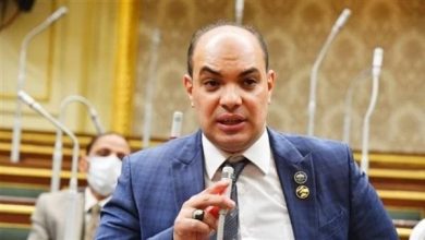 صورة النائب علاء قريطم: سيناء تشهد طفرة تنموية كبري غير مسبوقة في تاريخها