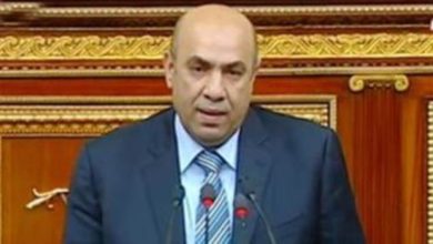 صورة النائب علاء عبدالنبي : البيان المصري السعودي وضع روشتة علاج للتهديدات والتحديات التي تواجه المنطقة