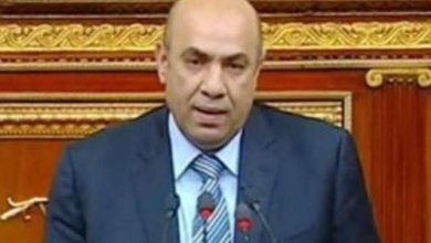 صورة النائب علاء عبدالنبي : المشروعات القومية ليست رفاهية و” مستقبل مصر ” يحافظ علي الأمن الغداني