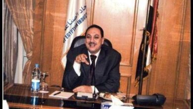 صورة رجب شحاتة : بدء حصاد محصول الأرز الجديد 15 أغسطس .وتوقعات بانخفاض الاسعار بنسبه كبيرة مع بداية الحصاد