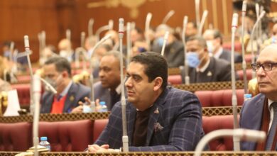 صورة النائب وليد التمامي : قرارات الرئيس بشأن برامج حماية اجتماعية تدعم المواطن بشكل كبير