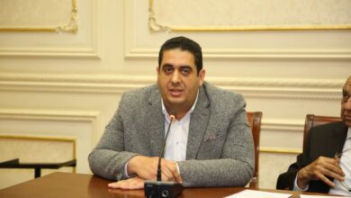 صورة النائب وليد التمامي : قرار الحكومة بتخفيض رأس مال إنشاء الشركات فرص استثمارية جديدة لصغار المستثمرين