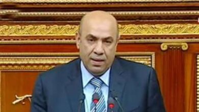 صورة النائب علاء عبدالنبي  : توجيهات الرئيس بالدعم الاستثنائي ضروريا لتحقيق العدالة الاجتماعية وادخل الفرحة في قلوب المصريين