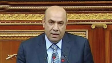 صورة النائب علاء عبدالنبي : زيارة السيسي الي الدوحة تحقق مصالح الشعبين المصري والقطري