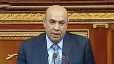 صورة النائب علاء عبدالنبي : تطوير المنظومة التعاقدية يساهم في تحقيق الأمن الغذائي