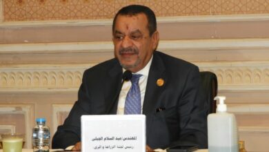 صورة عبد السلام الجبلي: قرار البرلمان الأوروبي محاولة جديدة لتشويه صورة الدولة