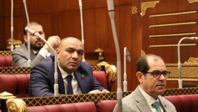 صورة النائب محمد ابوحجازي : كلمة الرئيس بفعاليات قمة الكوميسا استعرضت كافة الجهود التي بذلتها مصر ورؤيتها تجاه التحديات التي فرضتها الأزمات العالمية استعادة دور القارة الأفريقية و دفع معدلات التكامل الاقتصادي