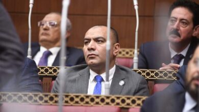صورة النائب محمد ابوحجازي : موقف مصر الداعم اتجاه القضية الفلسطينية ثابت ولن يتغير مع مرور الزمن
