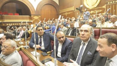 صورة نواب الشيوخ “التمامي وابوحجازي : كلمة الرئيس خلال تفقده الفرقة الرابعة المدرعة بعثت برسائل طمأنه للمصريين علي حفظ الأمن القومي وللفلسطينين على استمرار الدعم المصري