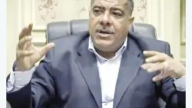صورة وكيل ” صناعة النواب”: على المصريين الا يصدقوا بيان البرلمان الاوروبي