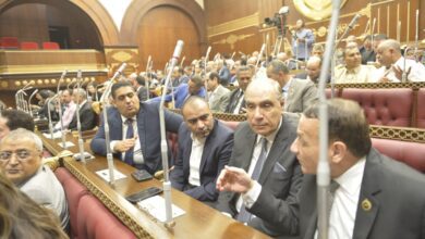 صورة التمامي وأبو حجازي: المشاركة بالانتخابات الرئاسية ستظهر للخارج قوة وتماسك الشعب المصري