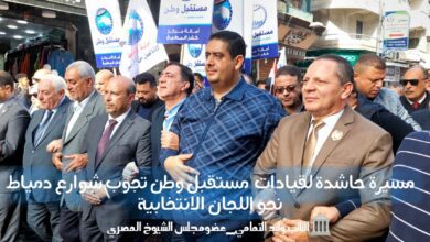 صورة بالصور: اكبرمسيرة حاشدة لقيادات مستقبل وطن تجوب شوارع دمياط نحو اللجان الانتخابية