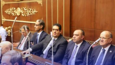 صورة نواب الشيوخ يشيدون بإعلان الخطة التنفيذية للحوار الوطني: تأكيد على الجدية في تعزيز استقرار وبناء وتنمية الوطن