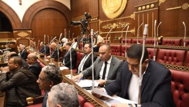 صورة نواب الشيوخ يشيدون  بالدور المحوري لمبادرة أبدأ لتطوير الصناعة المصريةالتابعةلحياة كريمة..ويطالبون بدعم شعبي لمنتجات مدينةدمياط للاثاث