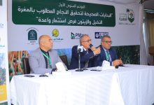 صورة تعرف علي توصيات أول مؤتمر لجمعية المغرة