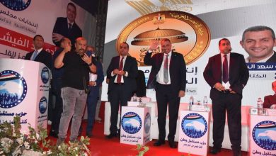 صورة بحضور 20 الف مواطن مؤتمرً جماهيري فى البحيرة بحضور النائب حسام لبن والتبرع ب 8 مليون
