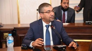 صورة محمد البدري: مصر والسعودية تمثلان ضمانة حقيقية للاستقرار في المنطقة