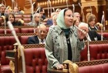 صورة النائبة حياة خطاب: مصر تكثف جهودها لإدخال المساعدات إلى غزة بالتعاون مع المجتمع الدولي