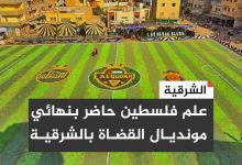 صورة   النعمان فارس الفرسان ..كيف تحولت بطولة القضاة بالشرقية الي حدوتة مصرية تتناقلها وكالات الأنباء العالمية؟ 