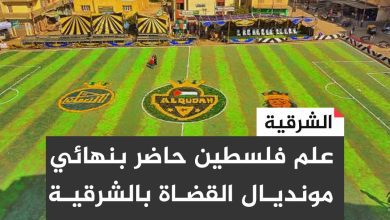 صورة   النعمان فارس الفرسان ..كيف تحولت بطولة القضاة بالشرقية الي حدوتة مصرية تتناقلها وكالات الأنباء العالمية؟ 