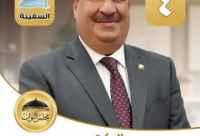 صورة الكاتب الصحفى عمرو فريد يكتب شهادة لله فى حق نائب يواجه حرب شرسة من مأجورين بسبب مقعد فى البرلمان