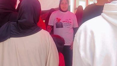 صورة مشاركه واسعه للسيدات فى دائرة الطالبية والعمرانية ومحمد عبدالحميد متقدم بسرعة الصاروخ