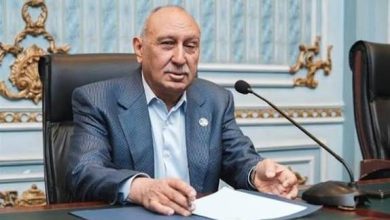 صورة النائب أحمد عثمان: كلمة الرئيس في افتتاح المتحف المصري تؤكد ريادة مصر الإنسانية والثقافية