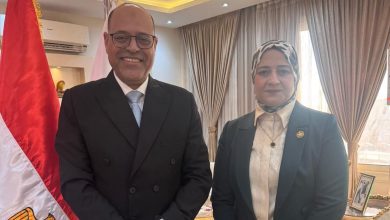 صورة النائبه مروة قنصوة : قانون العمل الجديديعكس رؤية الدولة المصرية في بناء سوق عمل حديث وجاذب للاستثمار