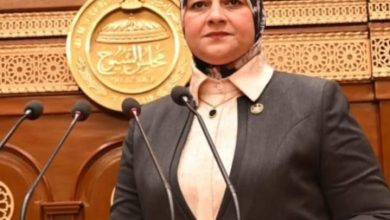 صورة نائبة بالشيوخ : متابعة رئيس الوزراء لإصلاح الهيئات الاقتصادية خطوة جيدة على الطريق الصحيح نحو ترسيخ الحوكمة الرشيدة