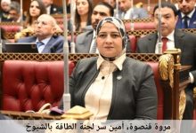 صورة النائبة مروة قنصوة : لا تهاون مع سرقة التيار الكهربائي والحفاظ على الطاقة وتوفيرها بعدالة وكفاءة مسؤولية وطنية مشتركة