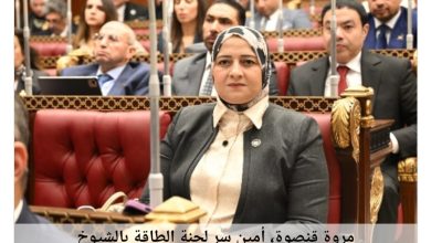 صورة النائبة مروة قنصوة : لا تهاون مع سرقة التيار الكهربائي والحفاظ على الطاقة وتوفيرها بعدالة وكفاءة مسؤولية وطنية مشتركة