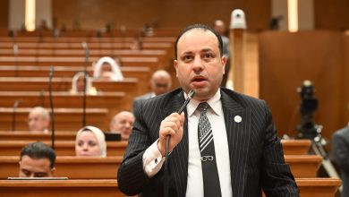 صورة النائب وليد خطاب: انضمام مصر لبرنامج أفق أوروبا للبحث العلمي والابتكار مع الاتحاد الأوروبي إضافة نوعية للباحثين المصريين