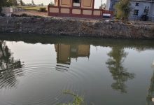 صورة ناقوس الخطر يدق .. تلاميذ مدرسة النجار في خطر ..والأهالي يطالبون بكوبرى مشاة لانقاذهم من كارثة